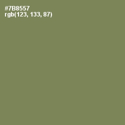 #7B8557 - Glade Green Color Image