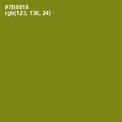 #7B8818 - Trendy Green Color Image