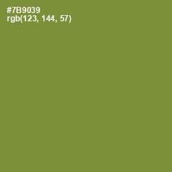 #7B9039 - Wasabi Color Image