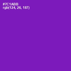 #7C1ABB - Seance Color Image