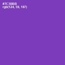 #7C3BBB - Royal Purple Color Image