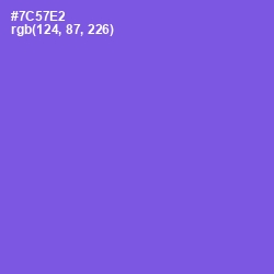#7C57E2 - Blue Marguerite Color Image