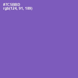 #7C5BBD - Studio Color Image