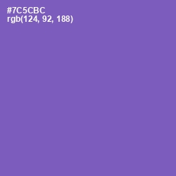 #7C5CBC - Studio Color Image