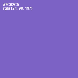 #7C62C5 - Blue Marguerite Color Image