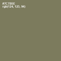 #7C7B5E - Crocodile Color Image