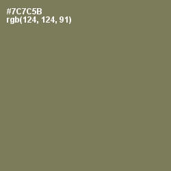 #7C7C5B - Crocodile Color Image