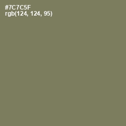 #7C7C5F - Crocodile Color Image