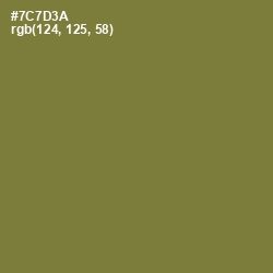 #7C7D3A - Pesto Color Image