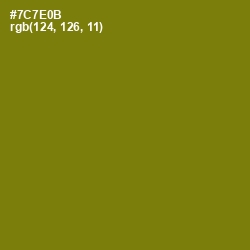 #7C7E0B - Olivetone Color Image