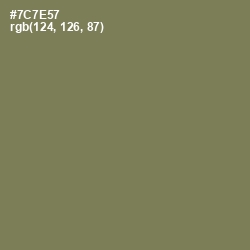 #7C7E57 - Crocodile Color Image