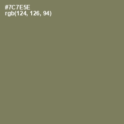 #7C7E5E - Crocodile Color Image