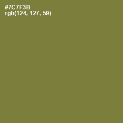 #7C7F3B - Pesto Color Image