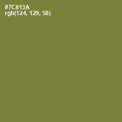 #7C813A - Wasabi Color Image