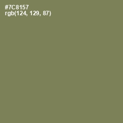 #7C8157 - Glade Green Color Image