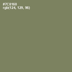 #7C8160 - Flax Smoke Color Image
