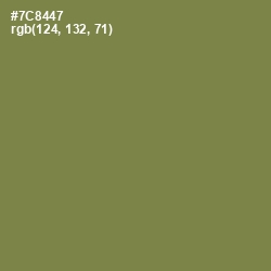 #7C8447 - Glade Green Color Image