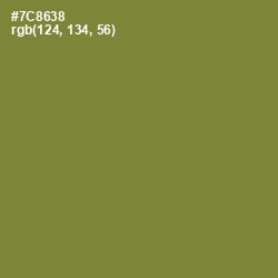 #7C8638 - Wasabi Color Image