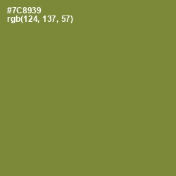 #7C8939 - Wasabi Color Image