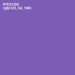 #7D5CB8 - Studio Color Image