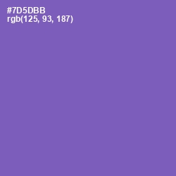 #7D5DBB - Studio Color Image