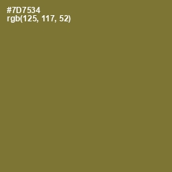 #7D7534 - Pesto Color Image