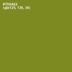 #7D8A22 - Wasabi Color Image