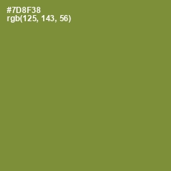#7D8F38 - Wasabi Color Image