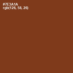 #7E3A1A - Copper Canyon Color Image