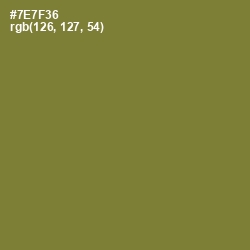 #7E7F36 - Pesto Color Image
