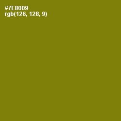 #7E8009 - Trendy Green Color Image