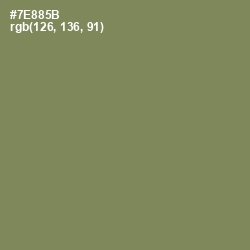 #7E885B - Glade Green Color Image