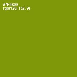 #7E9809 - Limeade Color Image