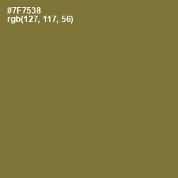 #7F7538 - Pesto Color Image