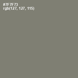 #7F7F73 - Tapa Color Image