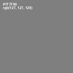 #7F7F80 - Jumbo Color Image