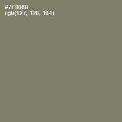 #7F8068 - Camouflage Green Color Image
