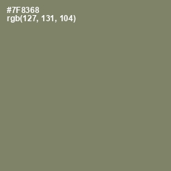 #7F8368 - Camouflage Green Color Image