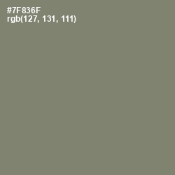 #7F836F - Camouflage Green Color Image