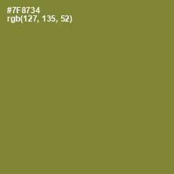 #7F8734 - Wasabi Color Image
