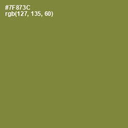 #7F873C - Wasabi Color Image