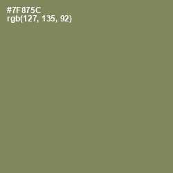 #7F875C - Glade Green Color Image