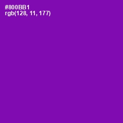 #800BB1 - Violet Eggplant Color Image