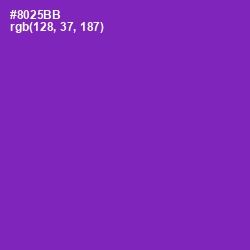 #8025BB - Vivid Violet Color Image