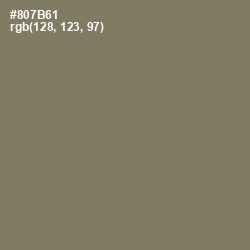 #807B61 - Cement Color Image
