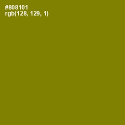 #808101 - Olive Color Image