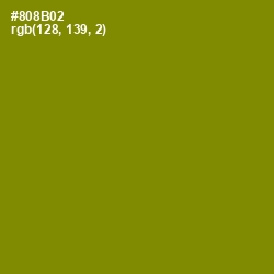 #808B02 - Olive Color Image