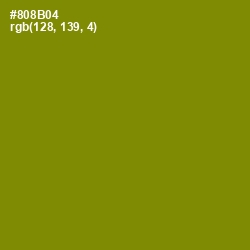 #808B04 - Olive Color Image