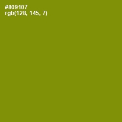#809107 - Olive Color Image