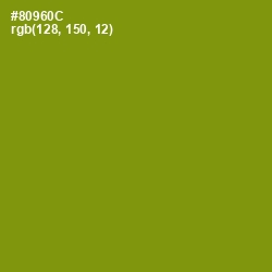 #80960C - Olive Color Image